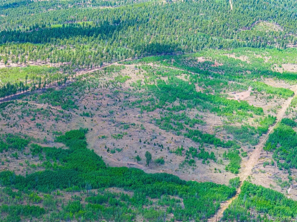 Lot 2 County Road 51 Florissant CO 80816