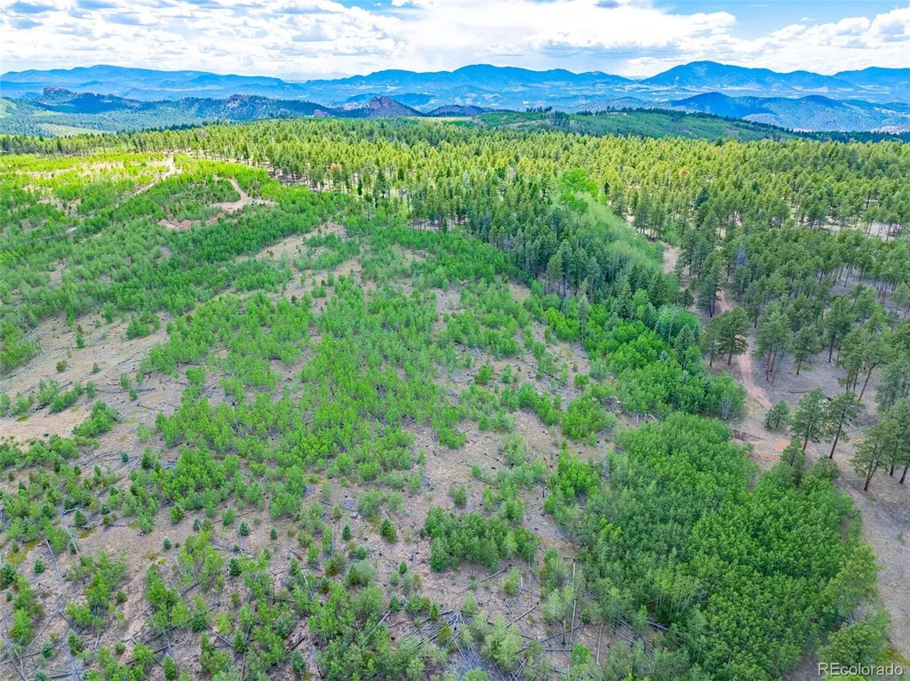 Lot 2 County Road 51 Florissant CO 80816