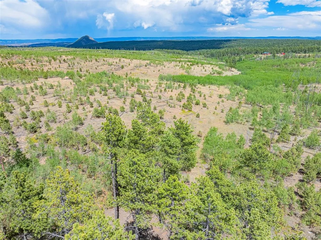 Lot 2 County Road 51 Florissant CO 80816