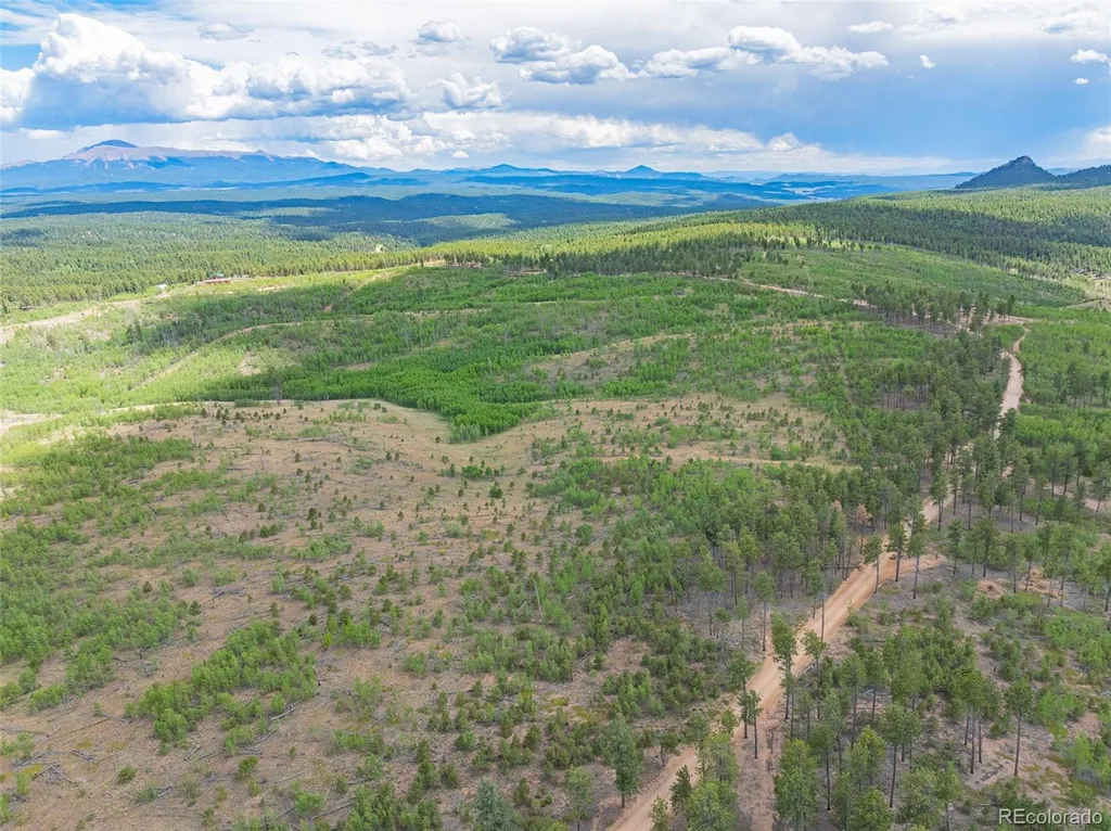 Lot 2 County Road 51 Florissant CO 80816
