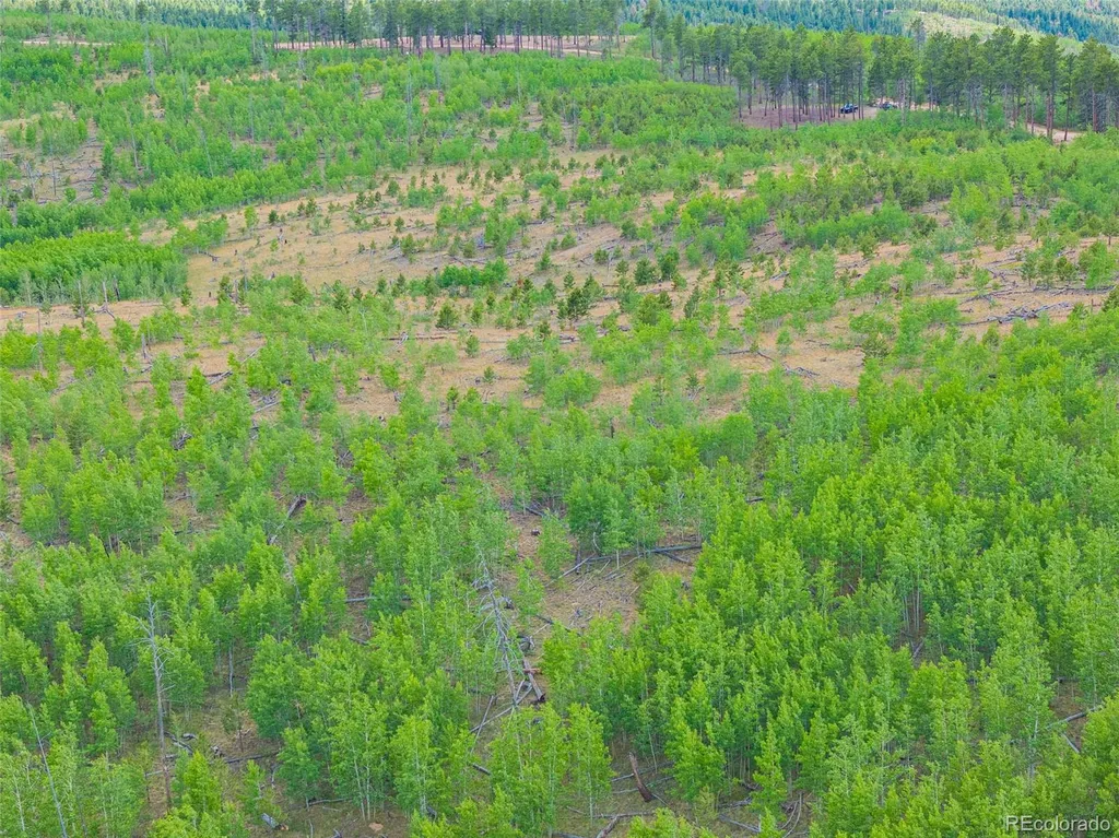 Lot 2 County Road 51 Florissant CO 80816