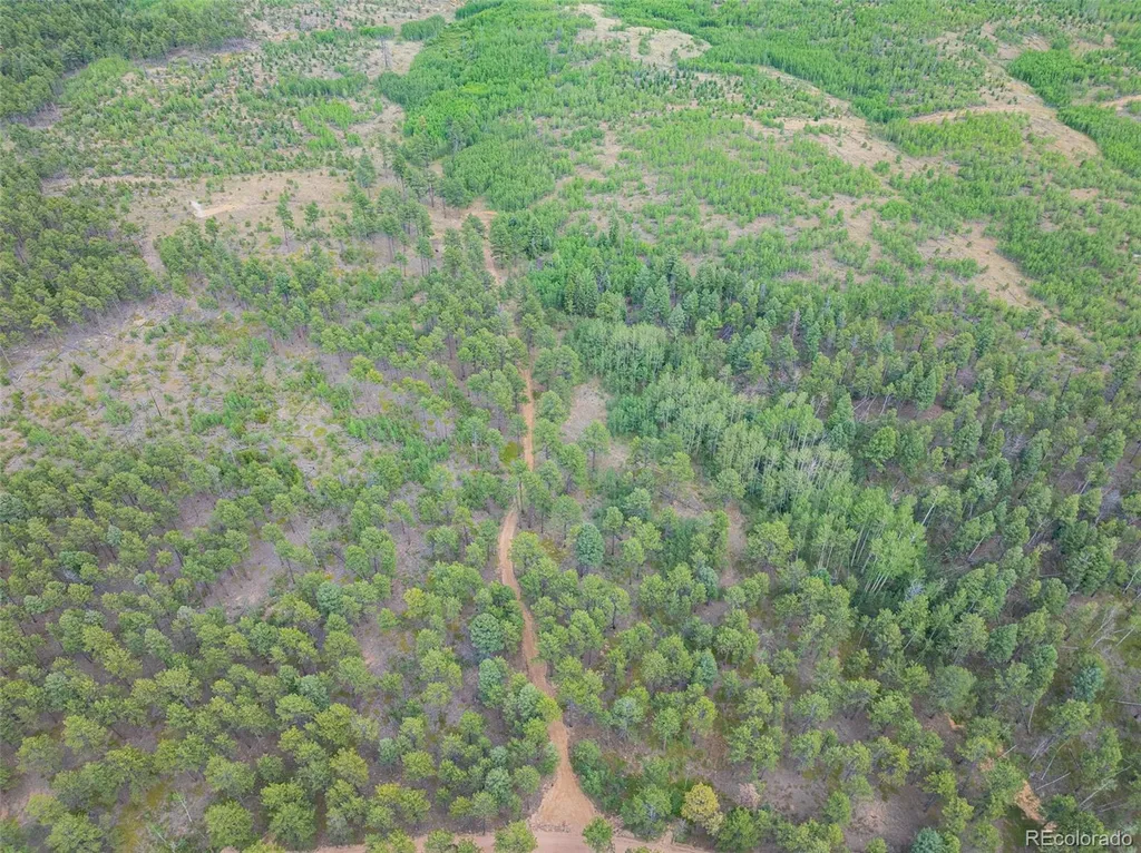 Lot 2 County Road 51 Florissant CO 80816