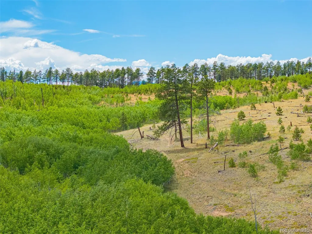 Lot 2 County Road 51 Florissant CO 80816