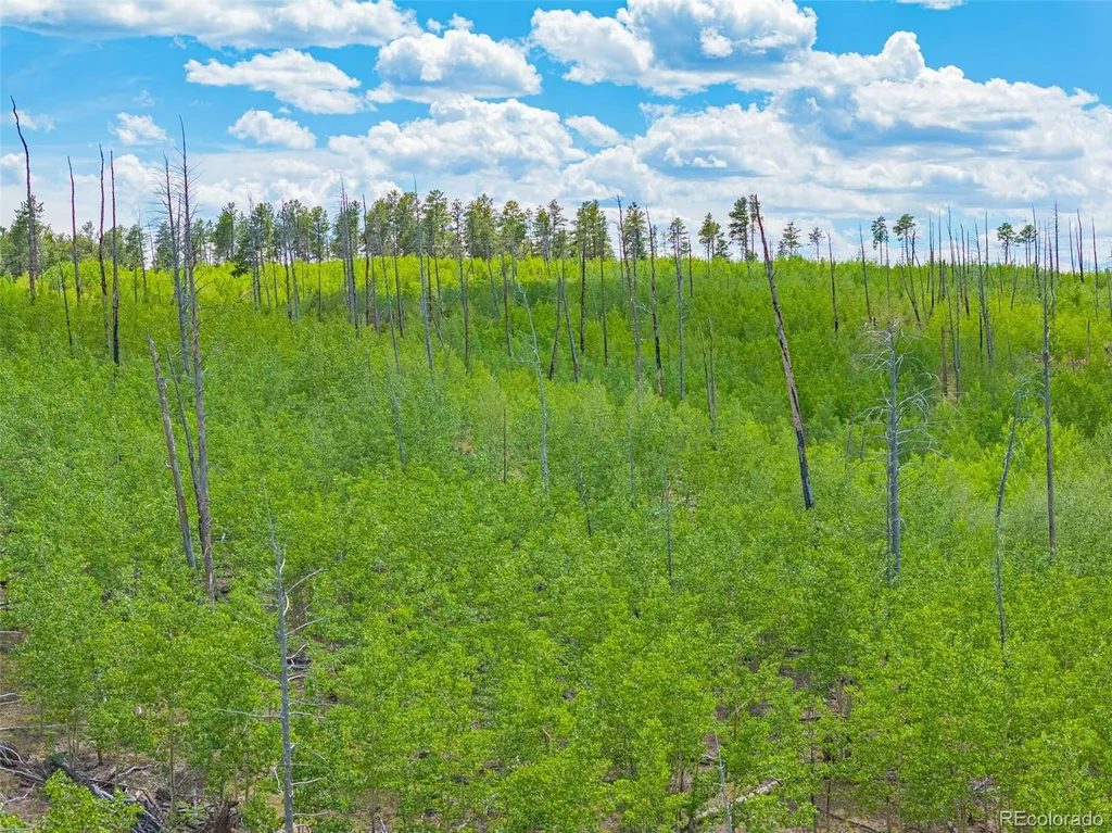Lot 2 County Road 51 Florissant CO 80816