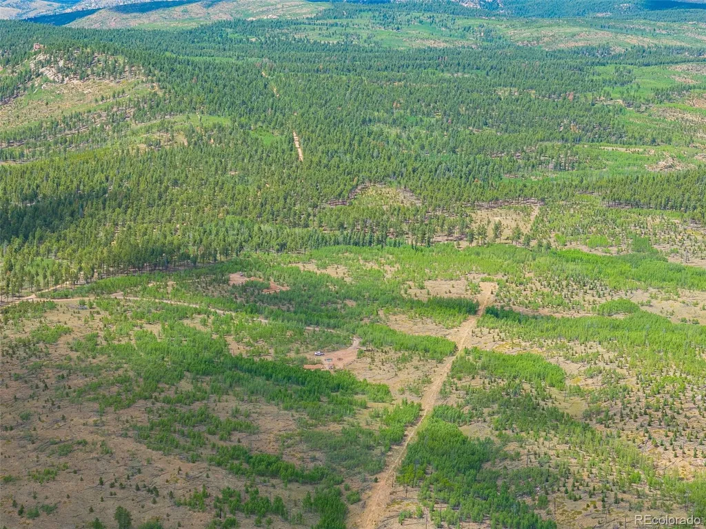 Lot 2 County Road 51 Florissant CO 80816