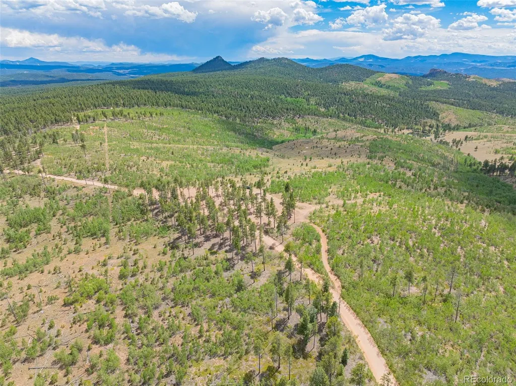 Lot 2 County Road 51 Florissant CO 80816