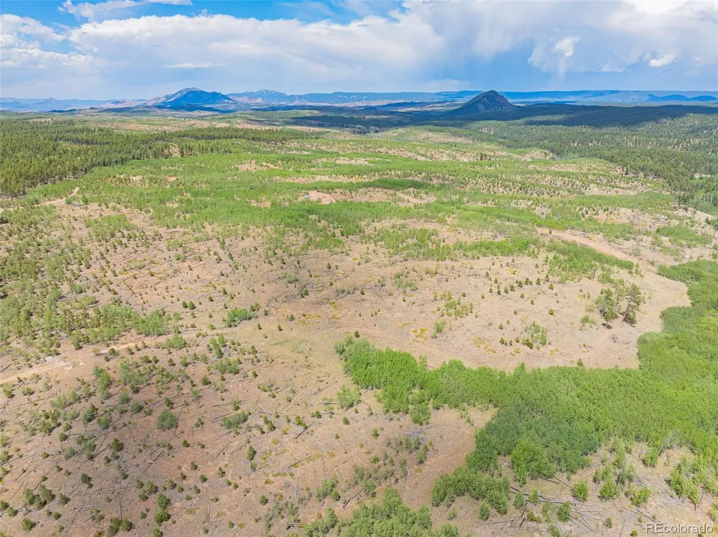 Lot 2 County Road 51 Florissant CO 80816