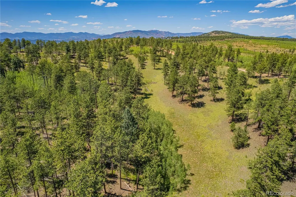Lot 2 County Road 51 Florissant CO 80816
