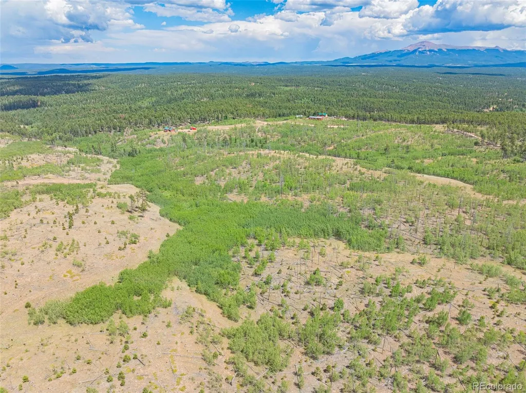 Lot 2 County Road 51 Florissant CO 80816