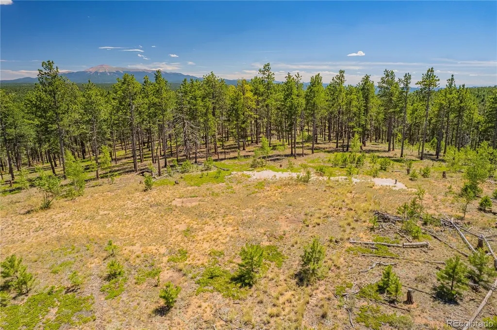 Lot 2 County Road 51 Florissant CO 80816
