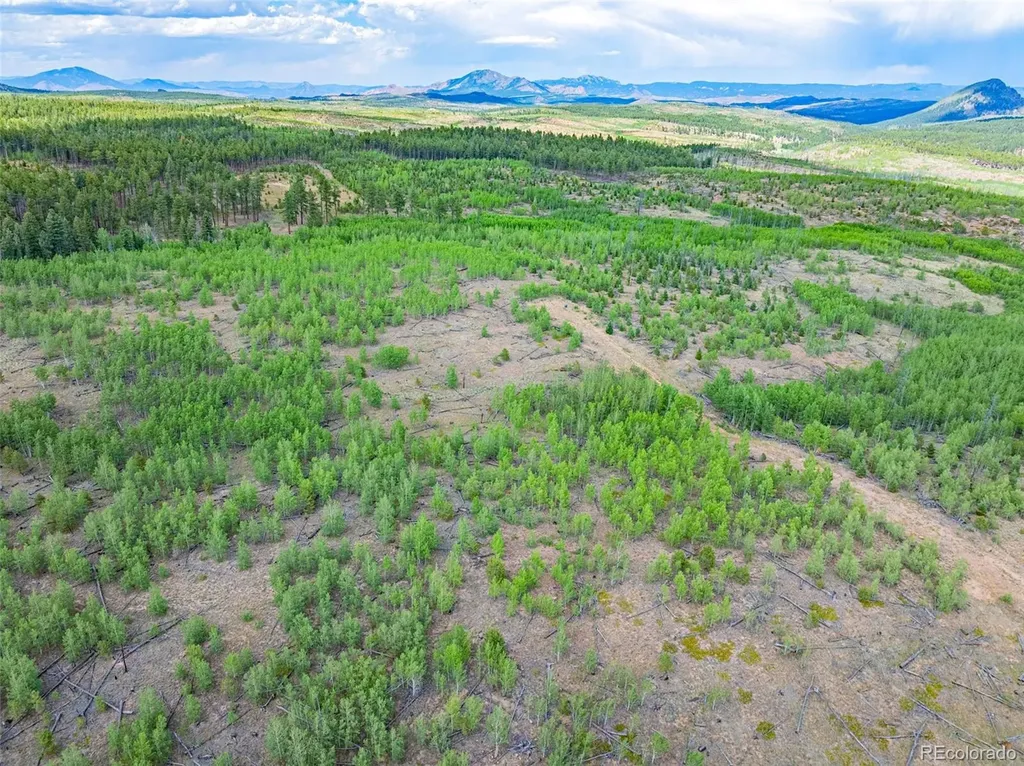 Lot 2 County Road 51 Florissant CO 80816