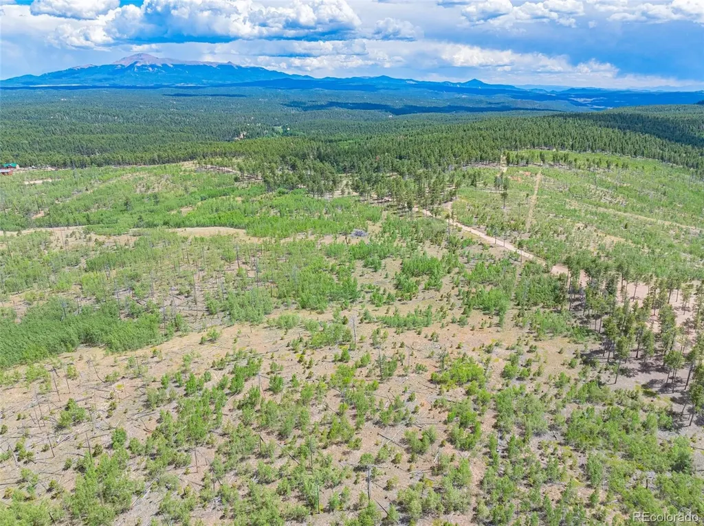 Lot 2 County Road 51 Florissant CO 80816