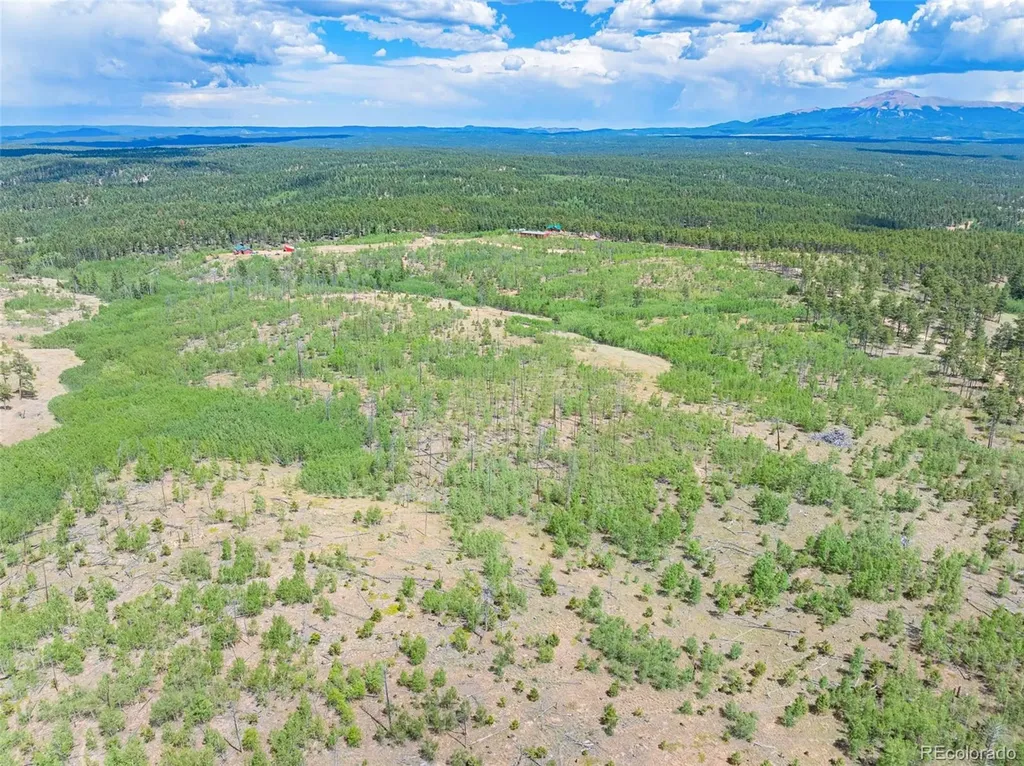 Lot 2 County Road 51 Florissant CO 80816