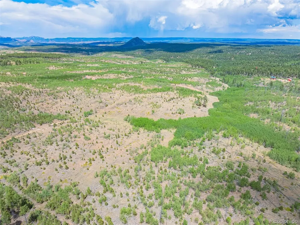 Lot 2 County Road 51 Florissant CO 80816