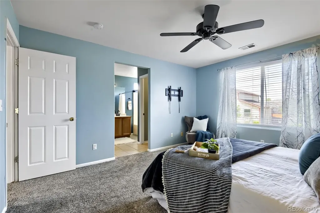 4889 Thorndike Avenue Castle Rock CO 80104