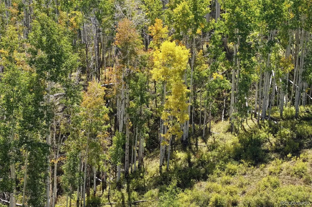 000 Divide Road Whitewater CO 81527