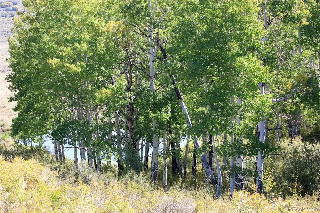 000 Divide Road Whitewater CO 81527