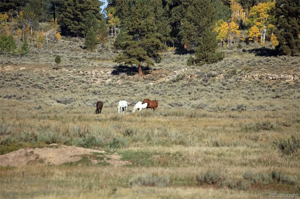 000 Divide Road Whitewater CO 81527