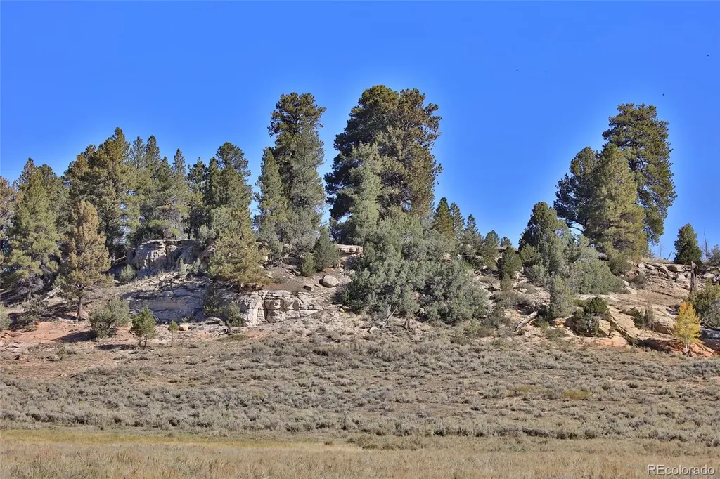000 Divide Road Whitewater CO 81527