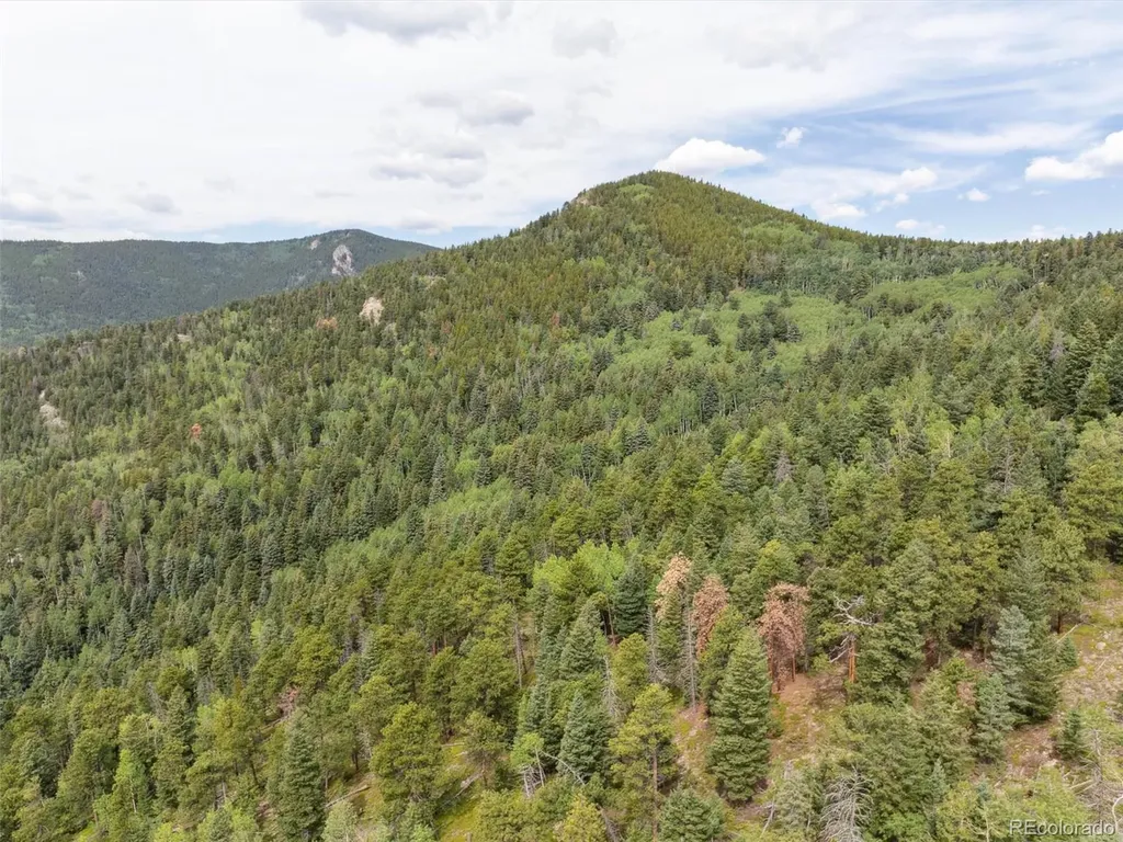 000 Snyder Mountain Road Evergreen CO 80439