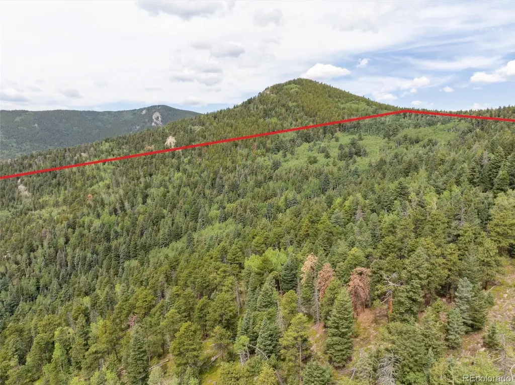 000 Snyder Mountain Road Evergreen CO 80439