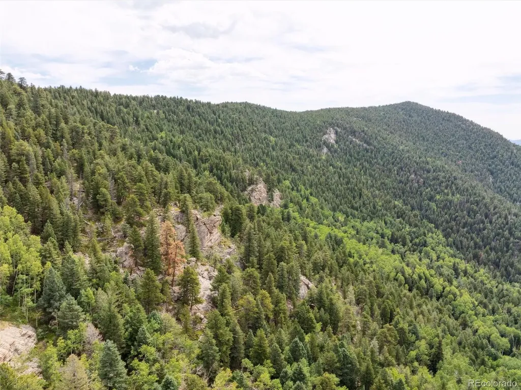 000 Snyder Mountain Road Evergreen CO 80439