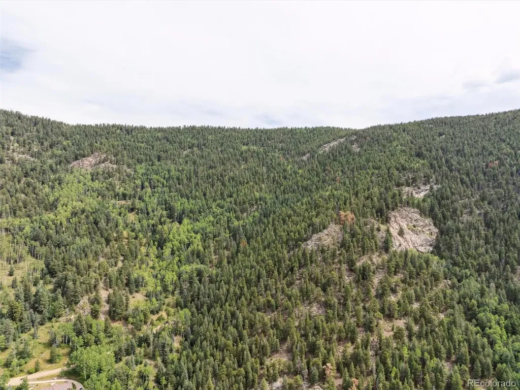 000 Snyder Mountain Road Evergreen CO 80439