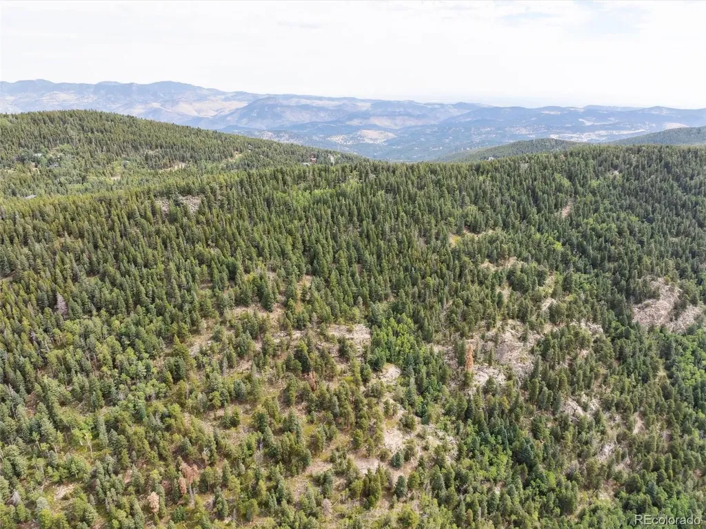 000 Snyder Mountain Road Evergreen CO 80439