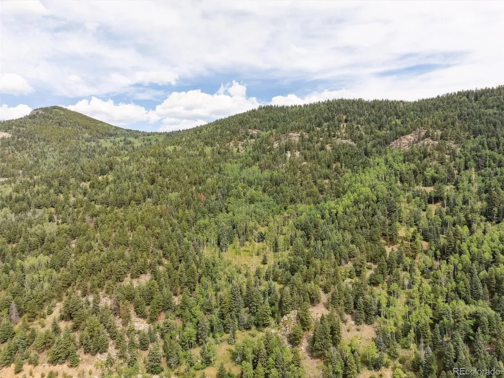 000 Snyder Mountain Road Evergreen CO 80439