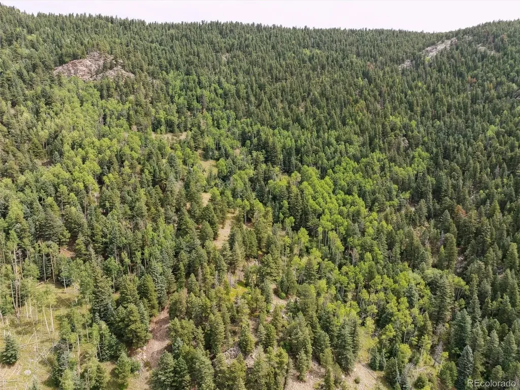 000 Snyder Mountain Road Evergreen CO 80439
