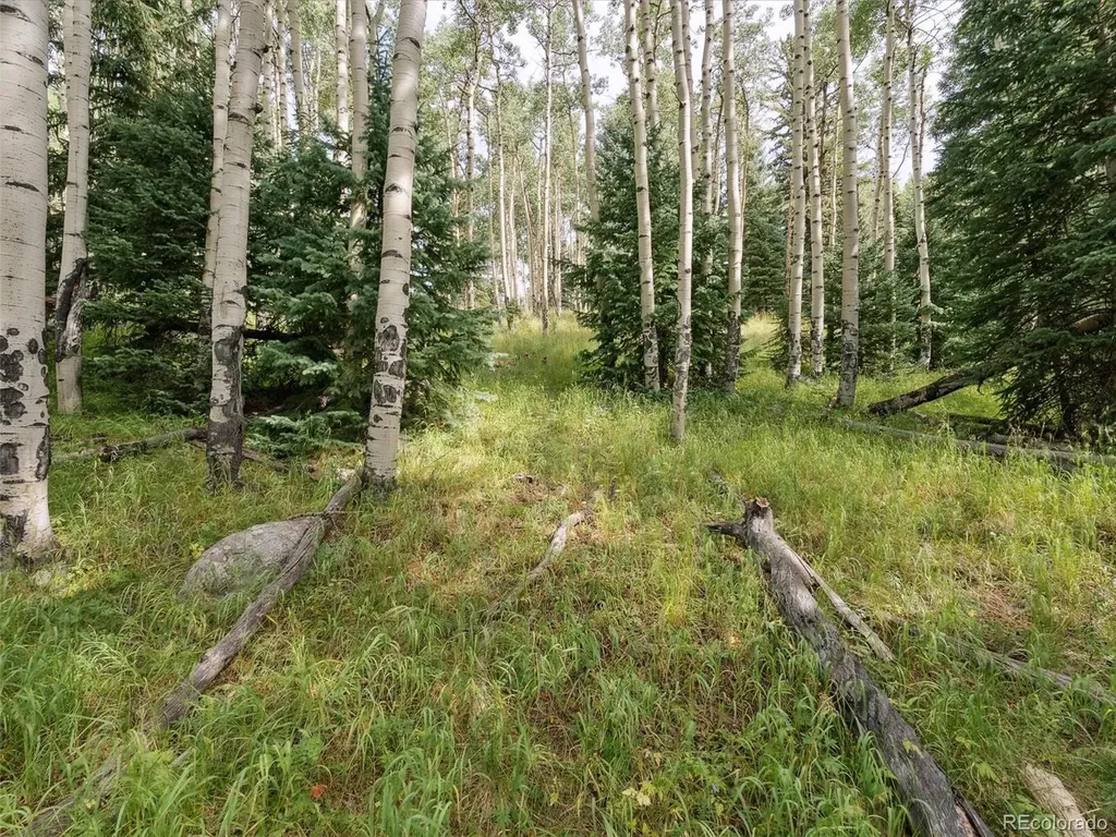 000 Snyder Mountain Road Evergreen CO 80439