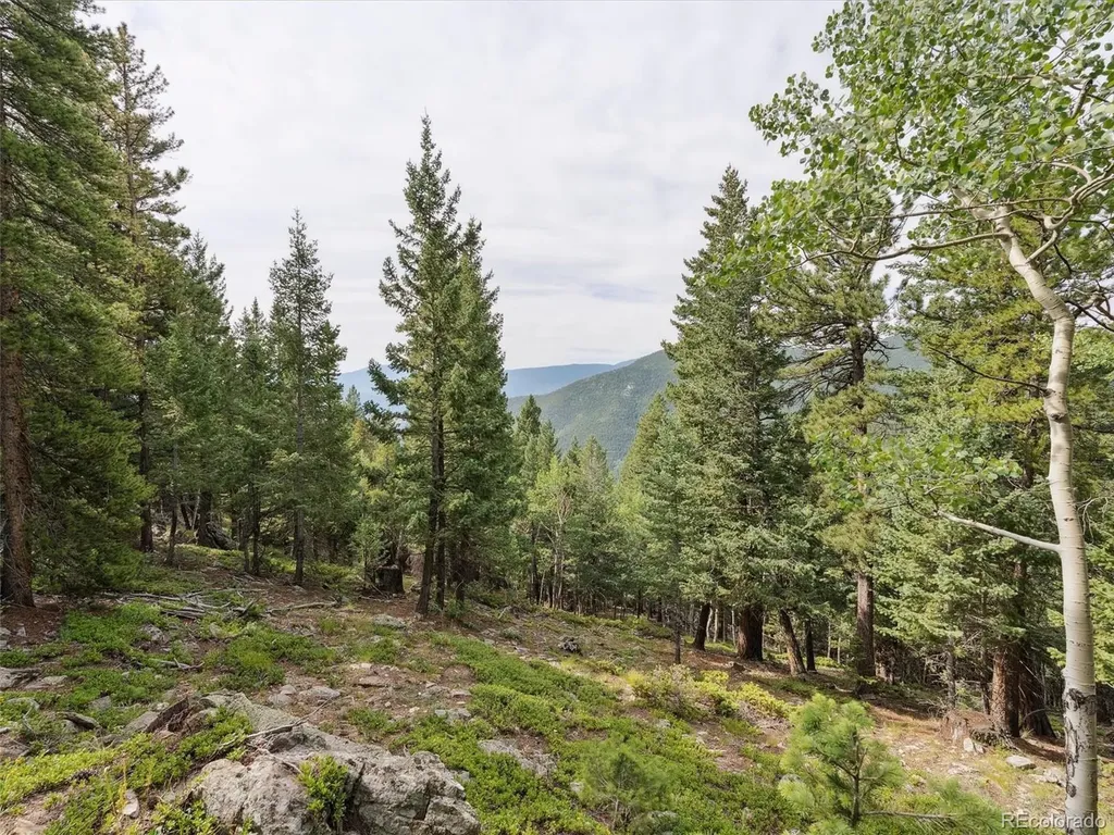 000 Snyder Mountain Road Evergreen CO 80439