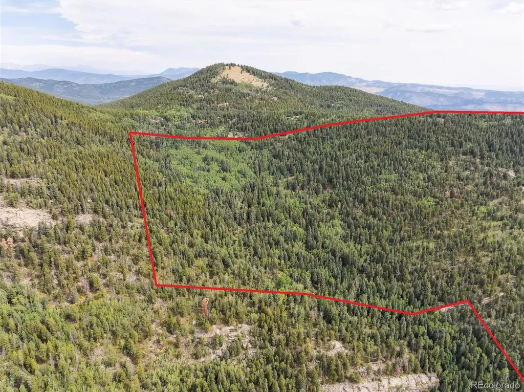 000 Snyder Mountain Road Evergreen CO 80439