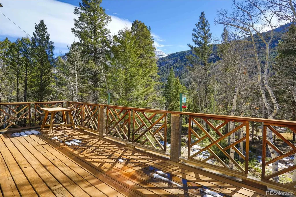 22590 County Road 292a Nathrop CO 81236