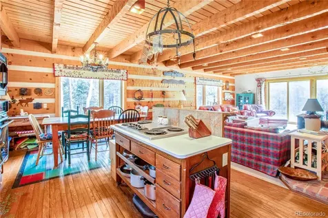 22590 County Road 292a Nathrop CO 81236