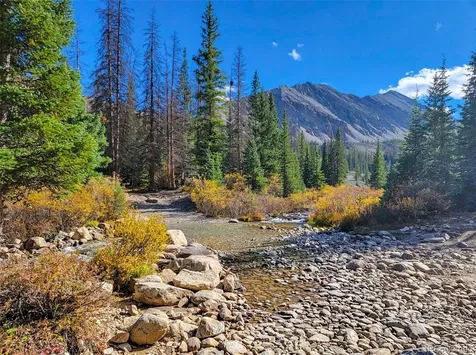 22590 County Road 292a Nathrop CO 81236
