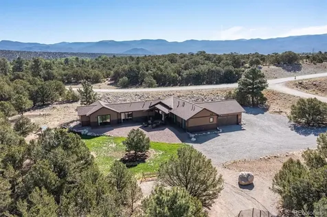 14978 Mary Murphy Drive Nathrop CO 81236