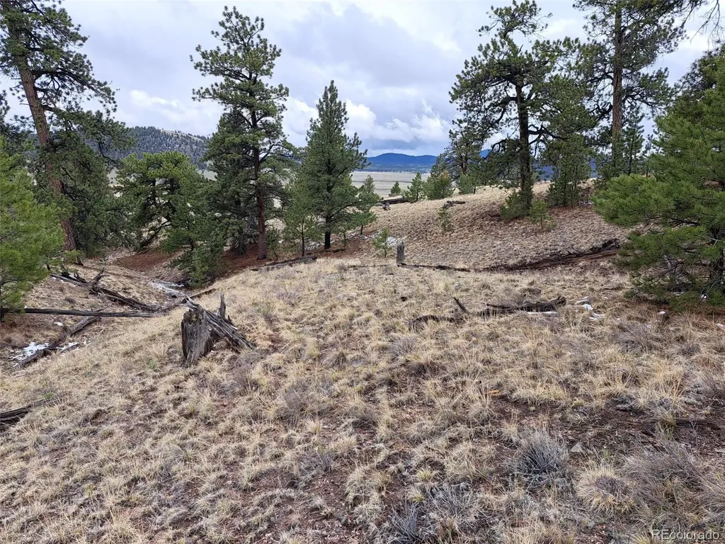 783 Remuda Hartsel CO 80449