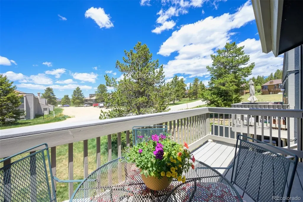 206 E Meadow Mile Fraser CO 80442