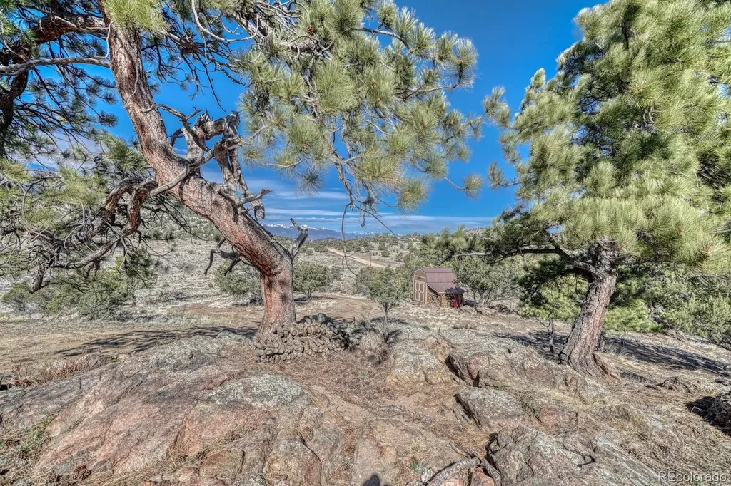 820 Little Horn Drive Westcliffe CO 81252