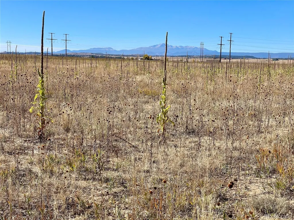 Parcel 1 County Road 98 Elbert CO 80106