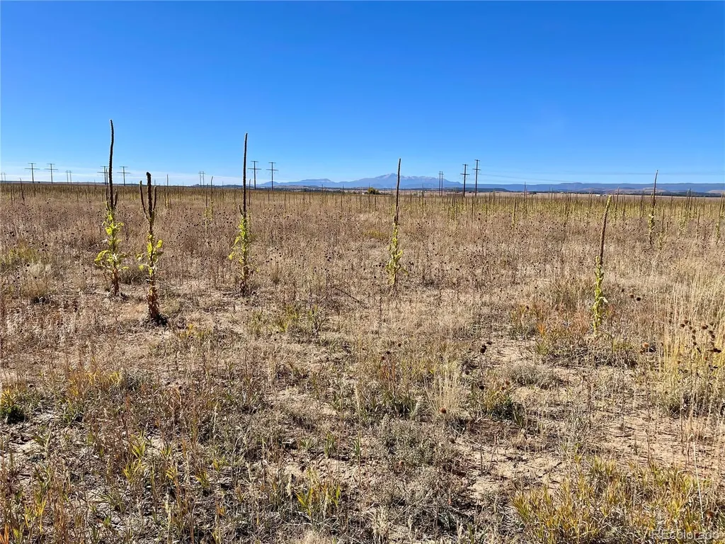 Parcel 1 County Road 98 Elbert CO 80106