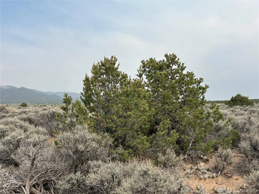 20 Ac Road X San Luis CO 81152