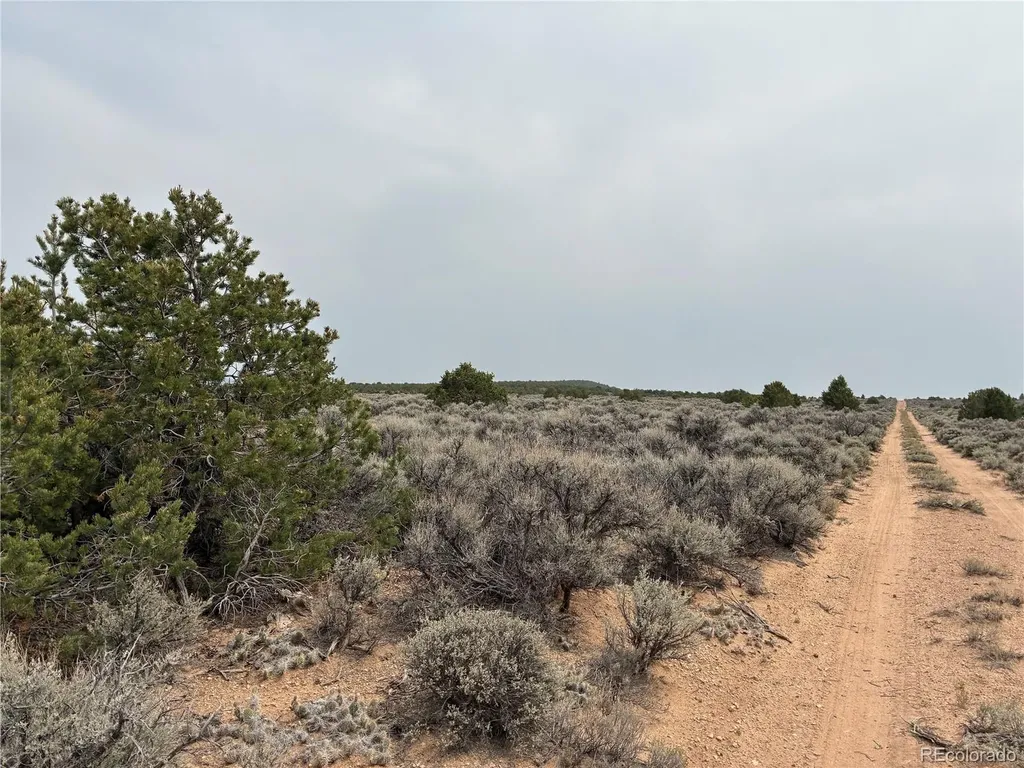 20 Ac Road X San Luis CO 81152