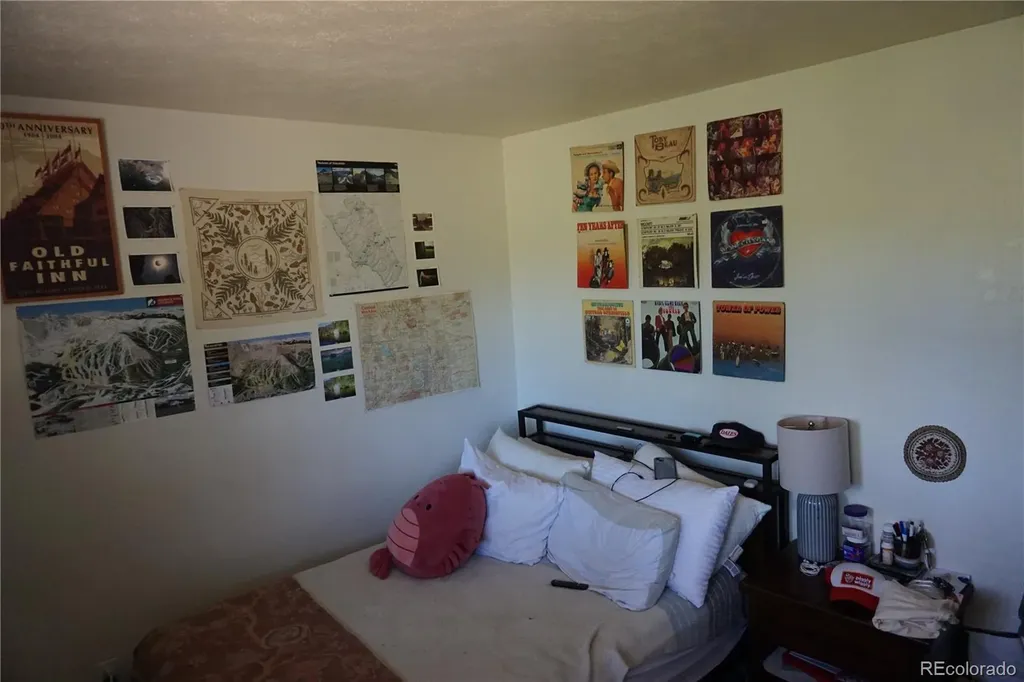 91300 Ryan Gulch Road Silverthorne CO 80498