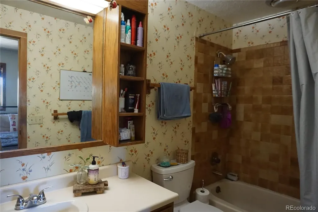 91300 Ryan Gulch Road Silverthorne CO 80498