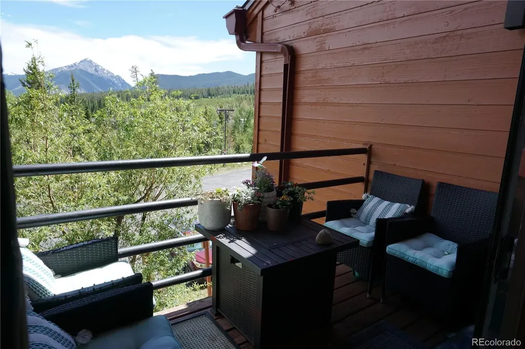 91300 Ryan Gulch Road Silverthorne CO 80498