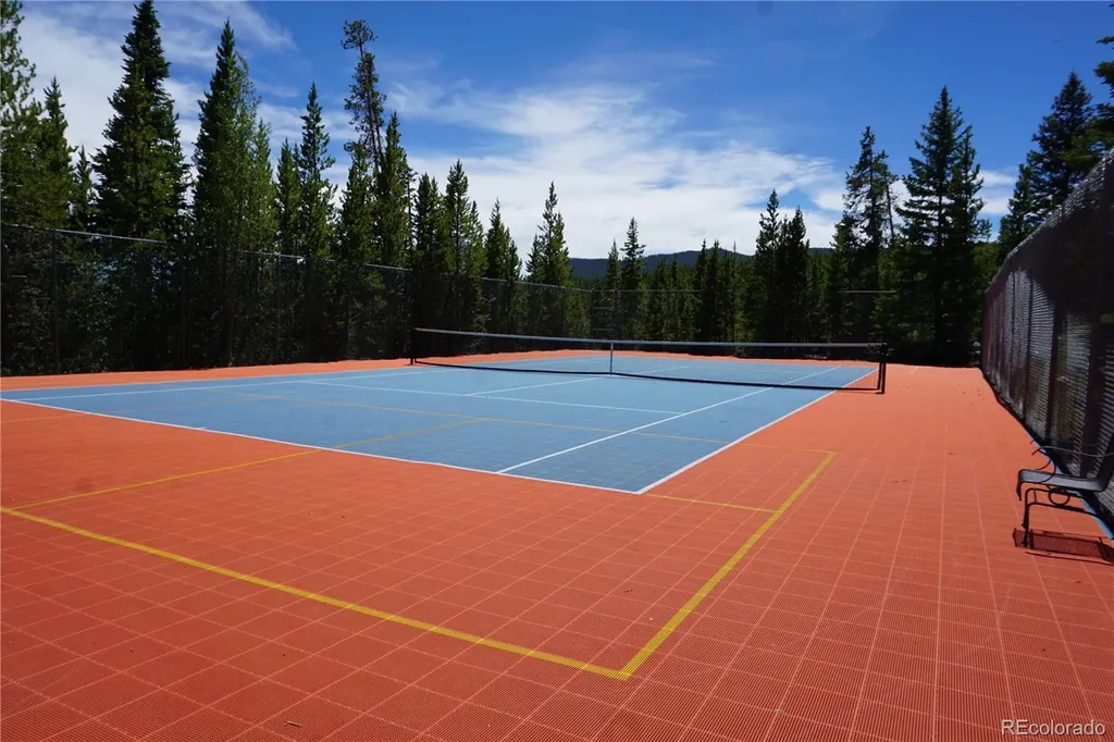 91300 Ryan Gulch Road Silverthorne CO 80498