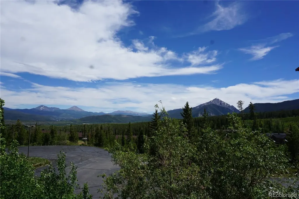 91300 Ryan Gulch Road Silverthorne CO 80498