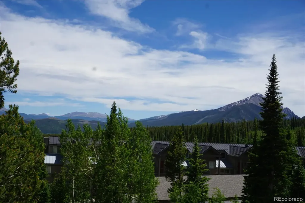 91300 Ryan Gulch Road Silverthorne CO 80498